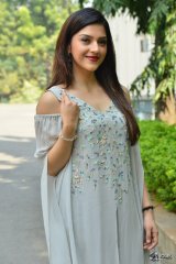 Mehreen Pirzada at Jawaan Movie Pre Release Press Meet